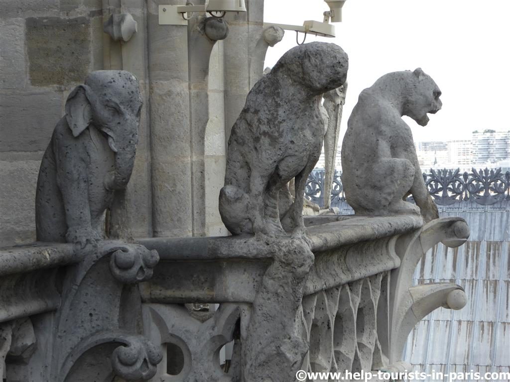 Fantasiefiguren Fassade Notre Dame Paris
