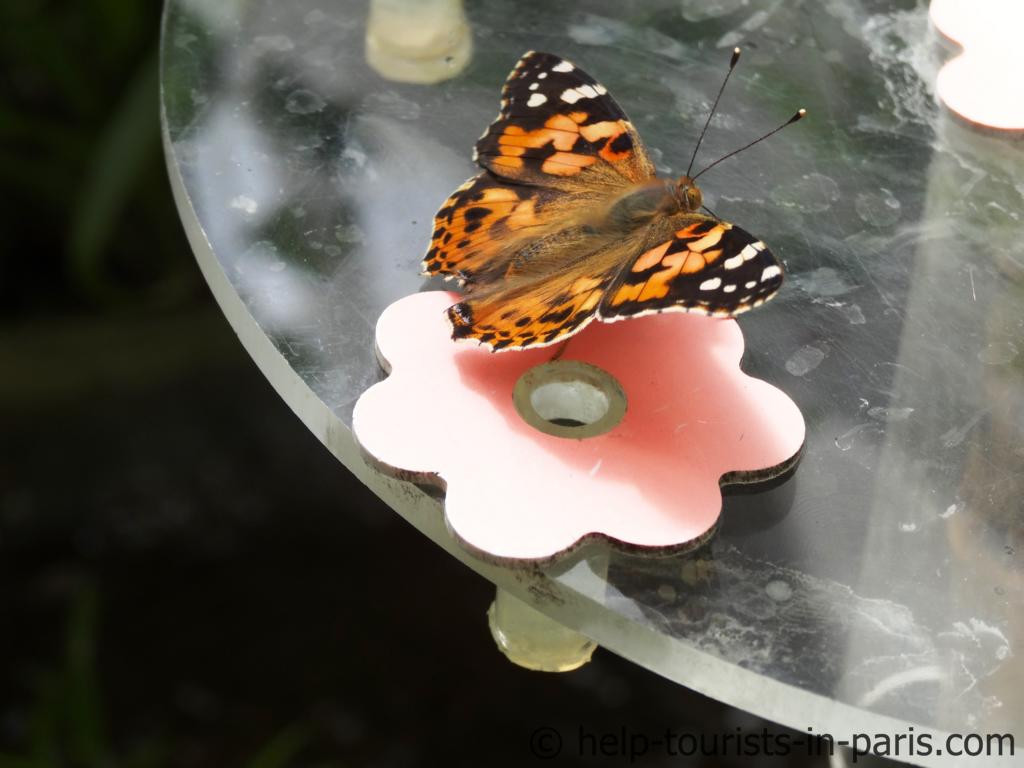 Schmetterlingshaus im Parc Floral in Paris