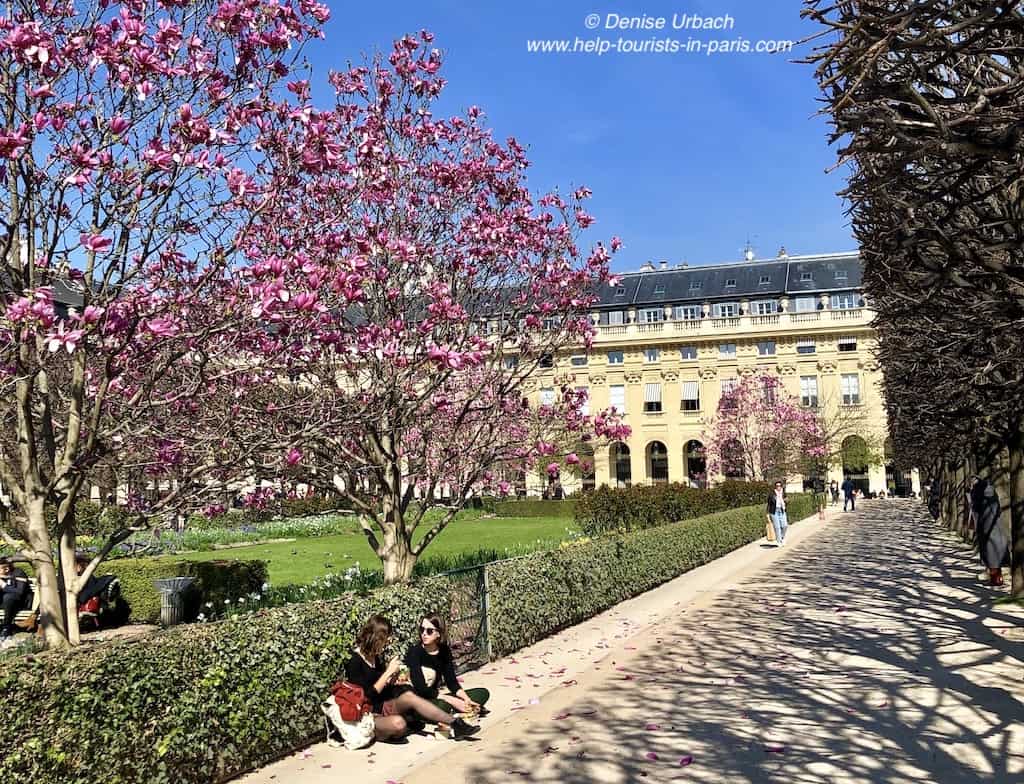 Frühling im Palais Royal in Paris
