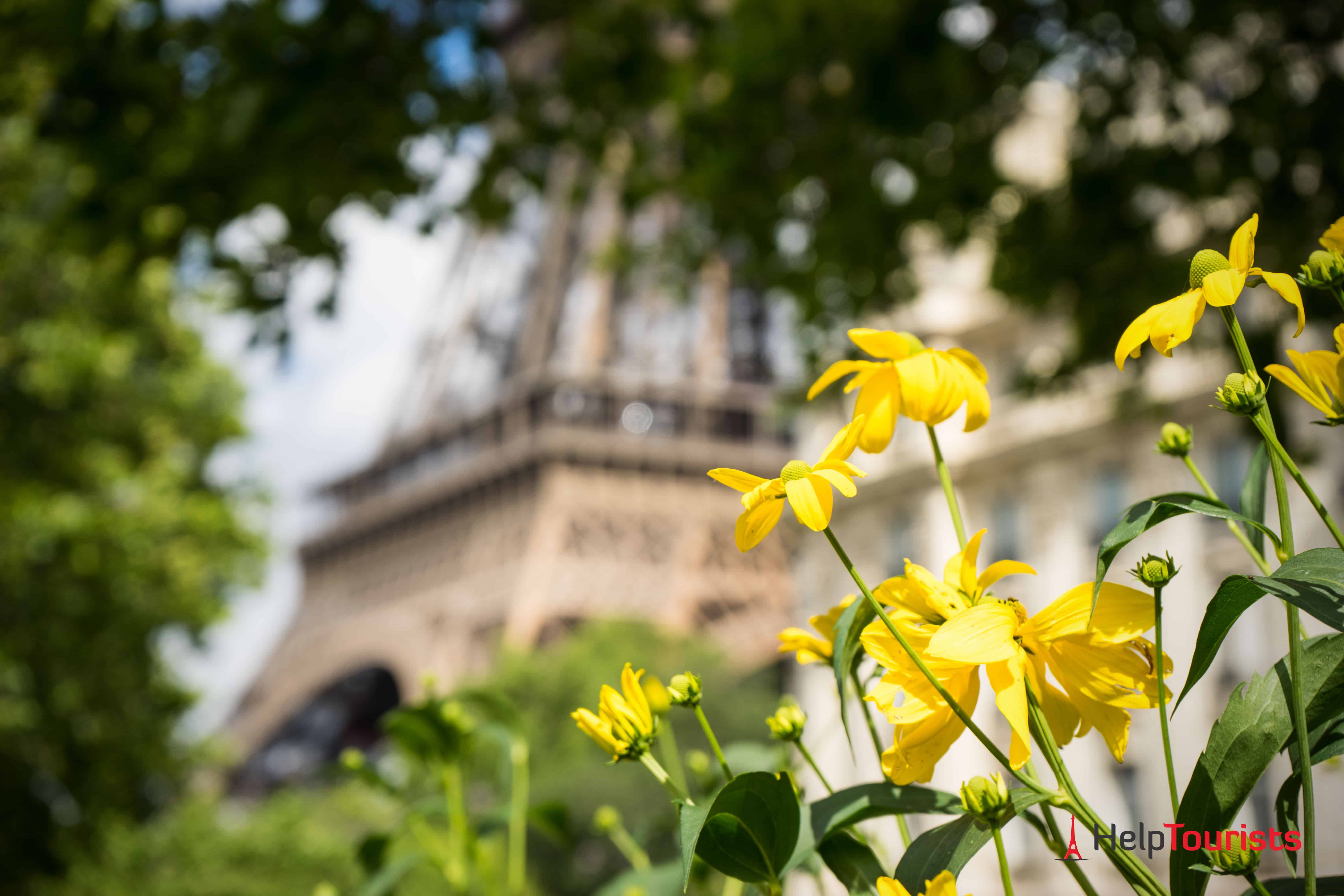 Frühling Paris Eiffelturm